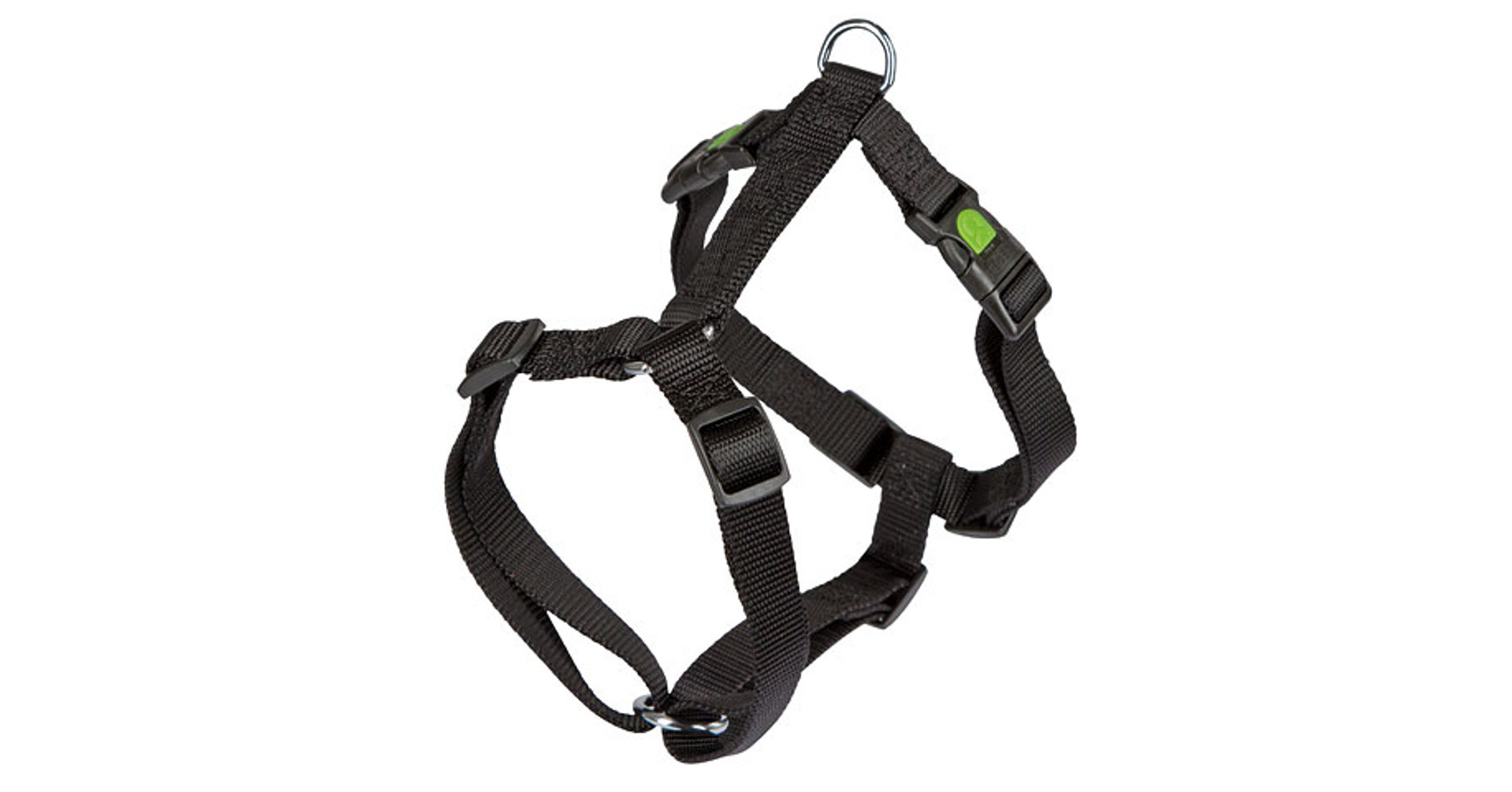 Lila Zebra Halsband – The Dog Farm