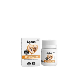 Aptus Attapectin tabletta 30 db Aptus Attapectin tabletta 30 db
