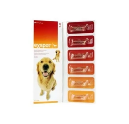 Exspot rácseppentő oldat 1ml 6 ampulla