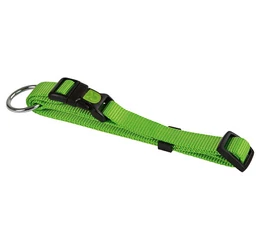 KERBL Miami nyakörv 15 mm/30-45 cm zöld KERBL Miami nyakörv 15 mm/30-45 cm zöld