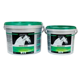 Equistro Mega base  Equistro Mega base