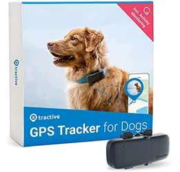 Tractive nyomkövető GPS kutyáknak