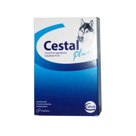 CESTAL PLUS FLAVOUR TABLETTA A.U.V. 8 tabletta/csomag