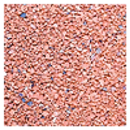 Redstone, vöröskő ánizzsal 5 kg